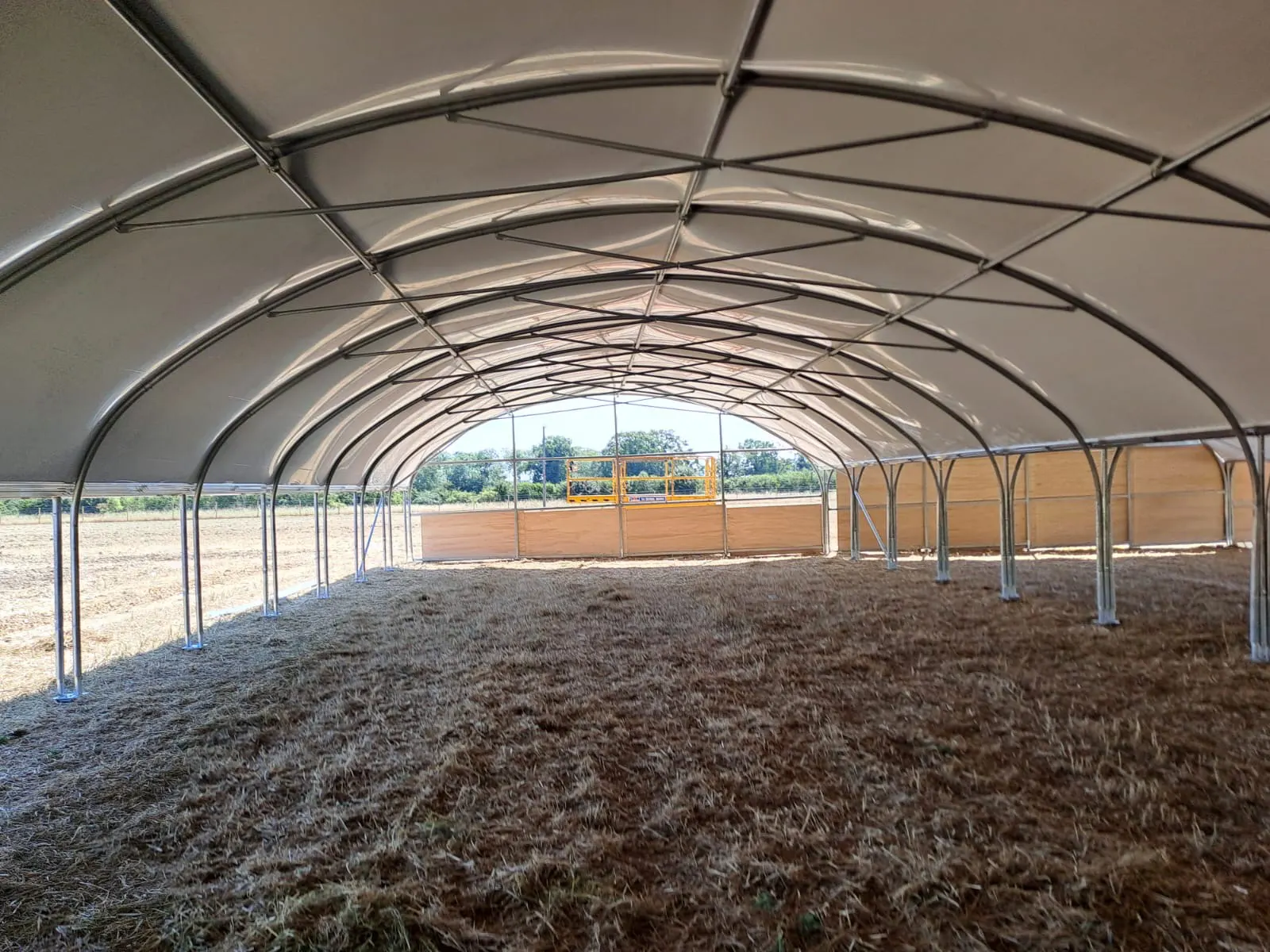 How commercial polytunnels support year-round lettuce production