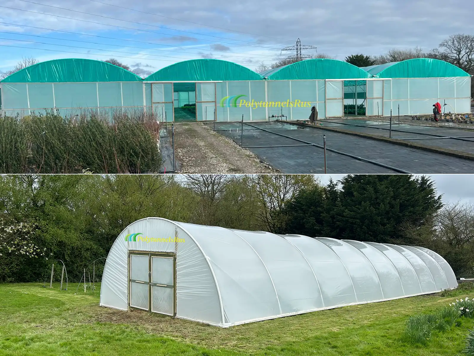 Single span or multi-span polytunnel: which should you choose?