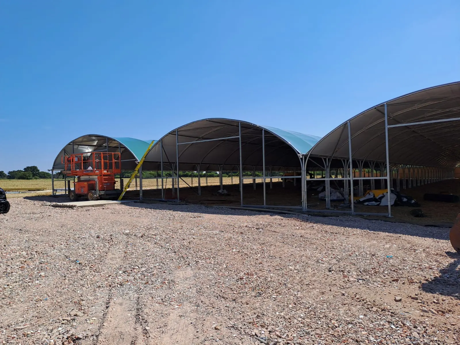 How commercial polytunnels support year-round lettuce production