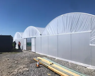 Polytunnel Recovering