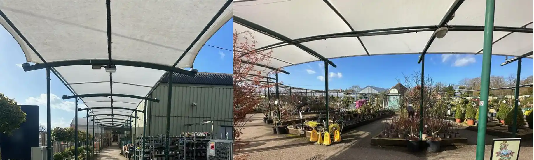 New Canopy