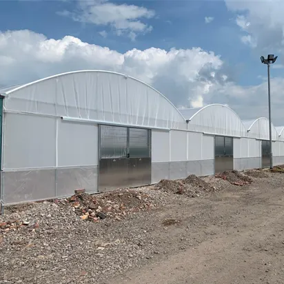 Commercial Polytunnels