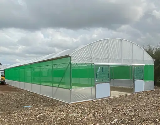 Allotment Domestic Polytunnels