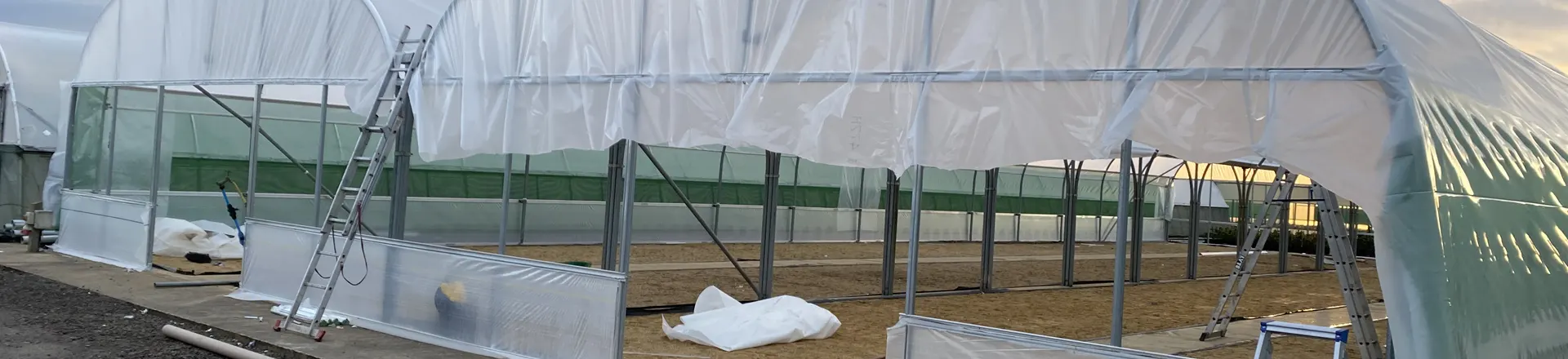 Polytunnel Installation